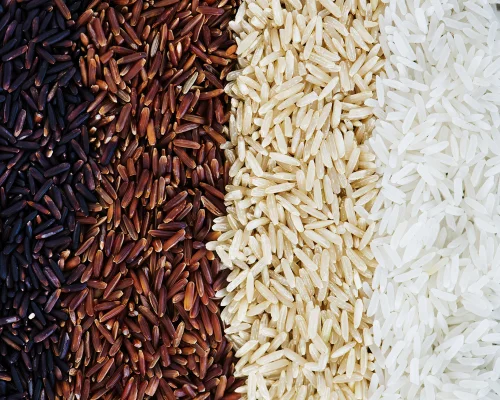 Rice Varieties